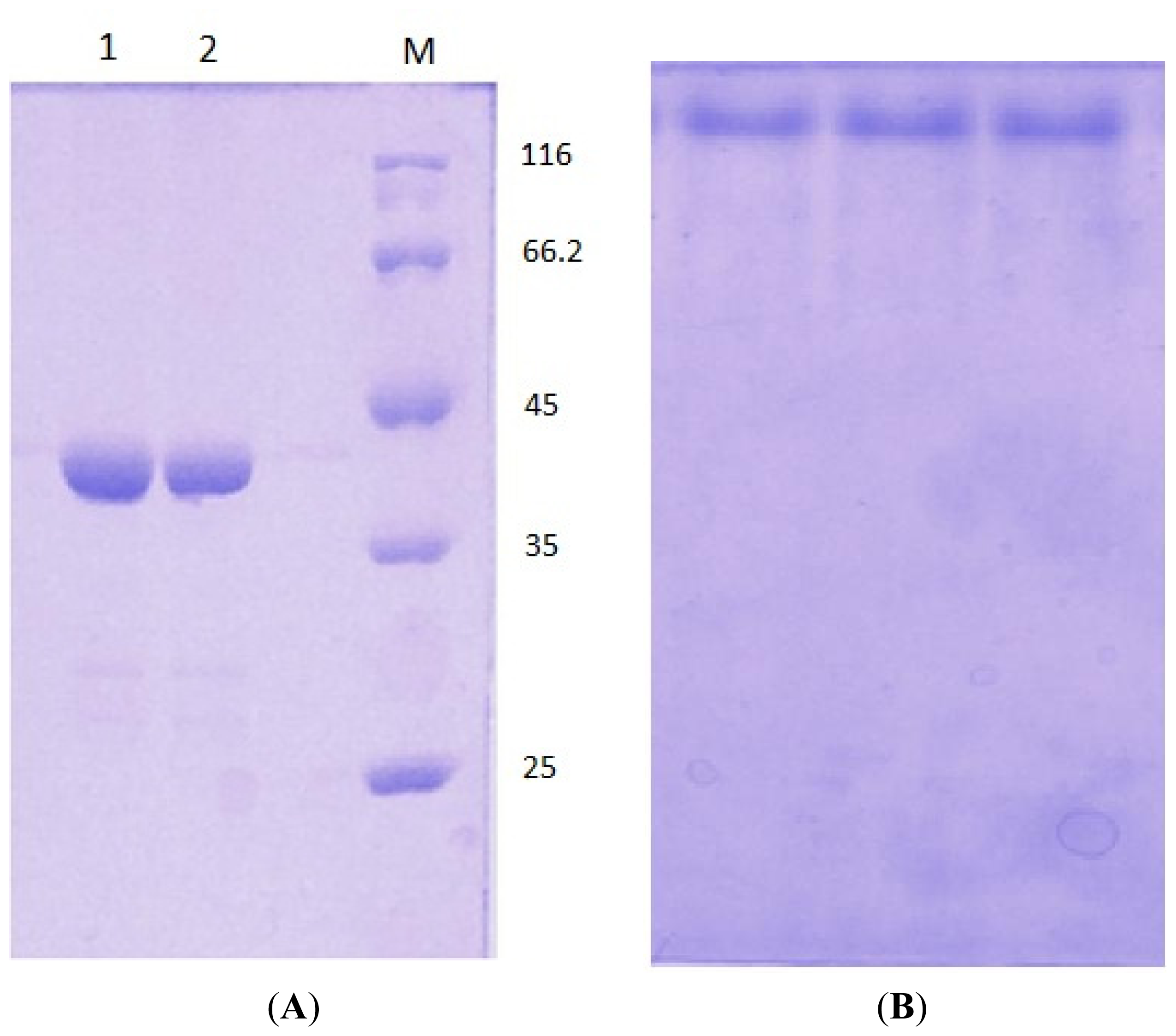 Ijms 13 00943f6
