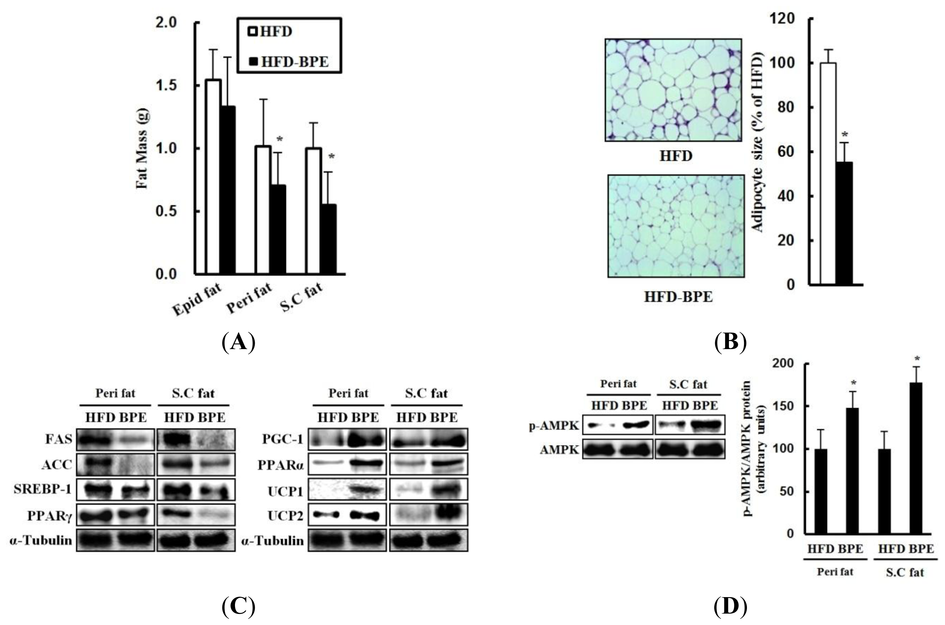 Ijms 13 00994f3