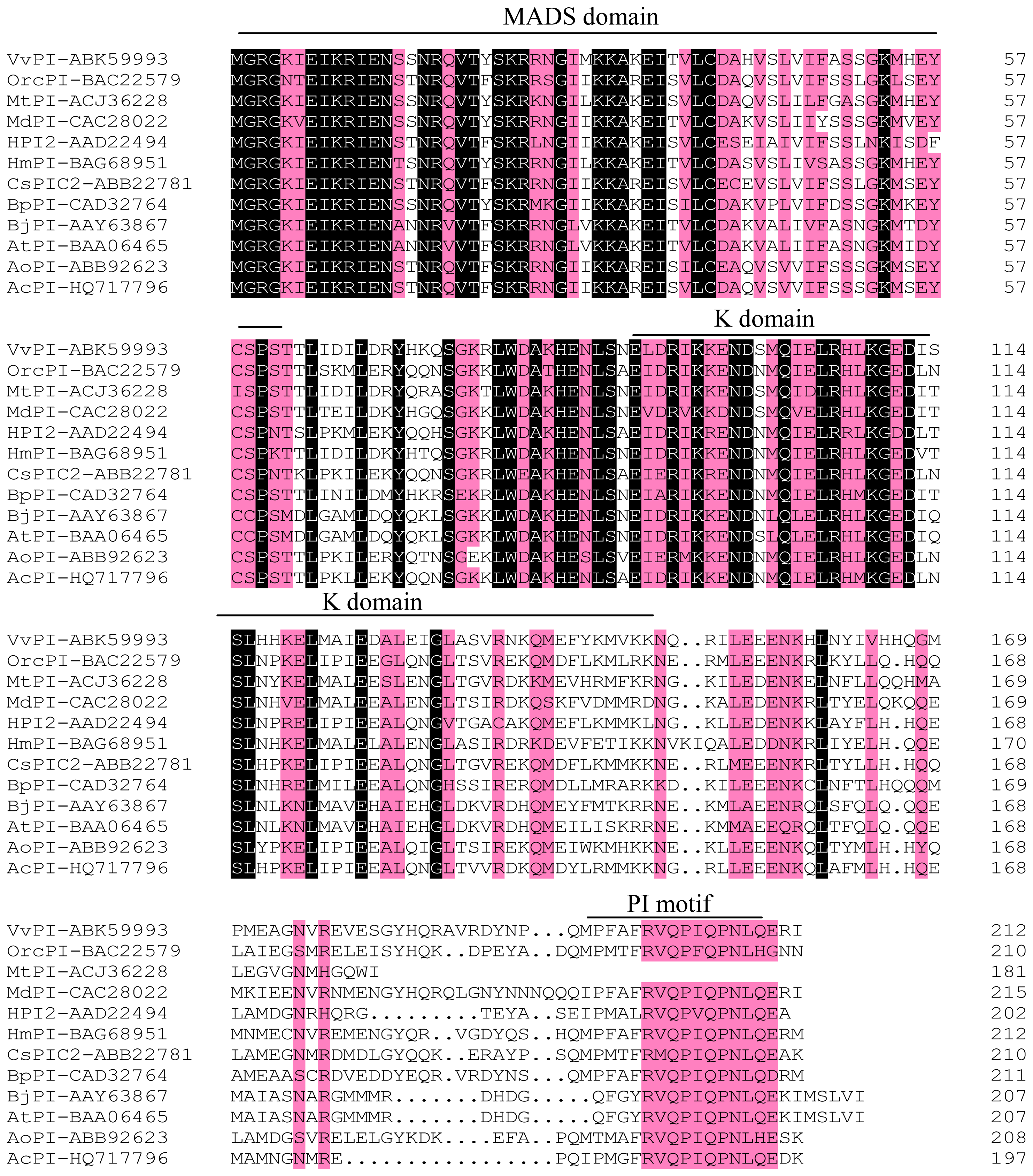Ijms 13 01039f1