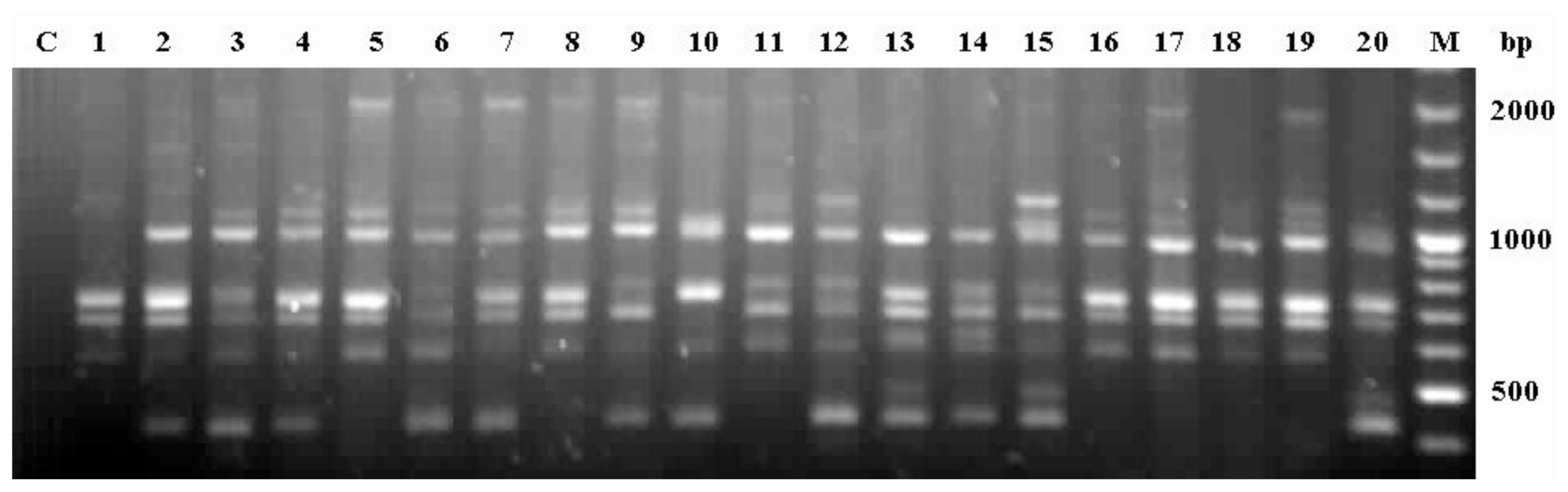 Ijms 13 04446f1