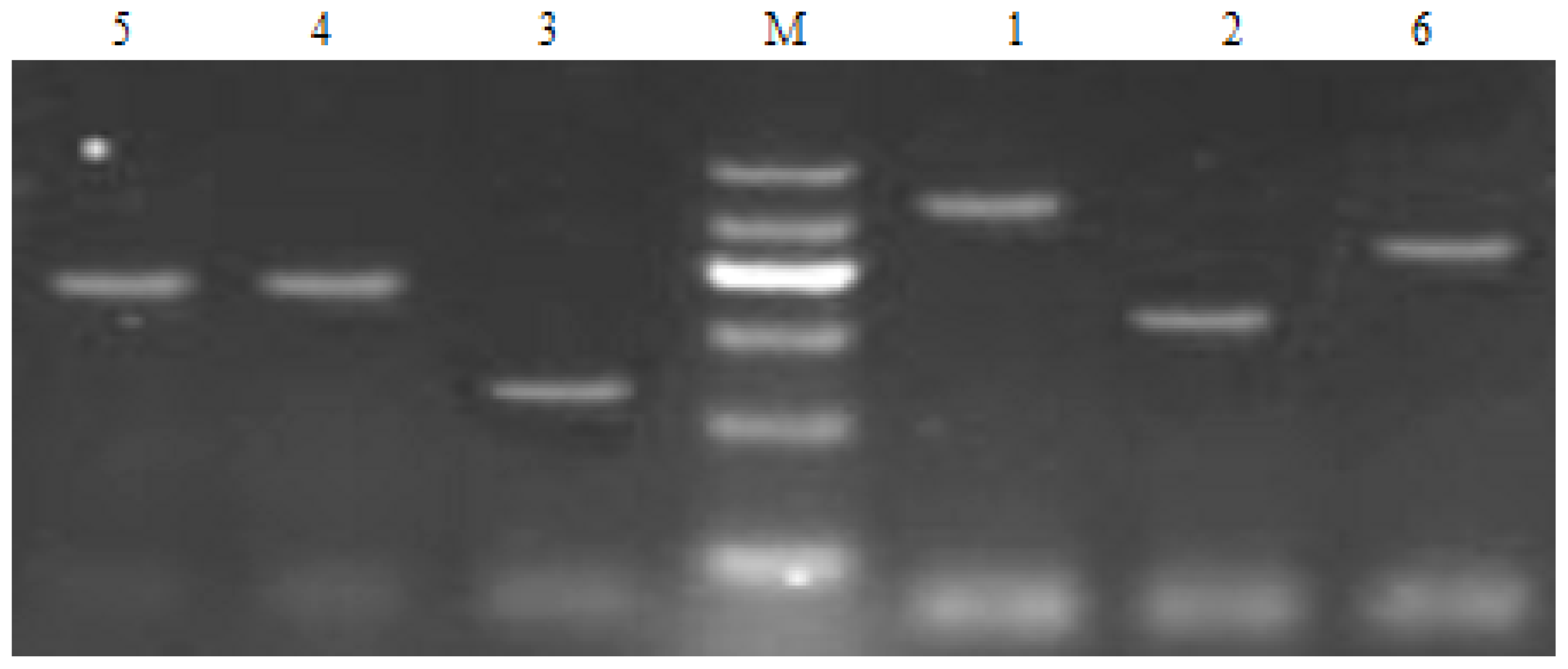 Ijms 13 08210f1