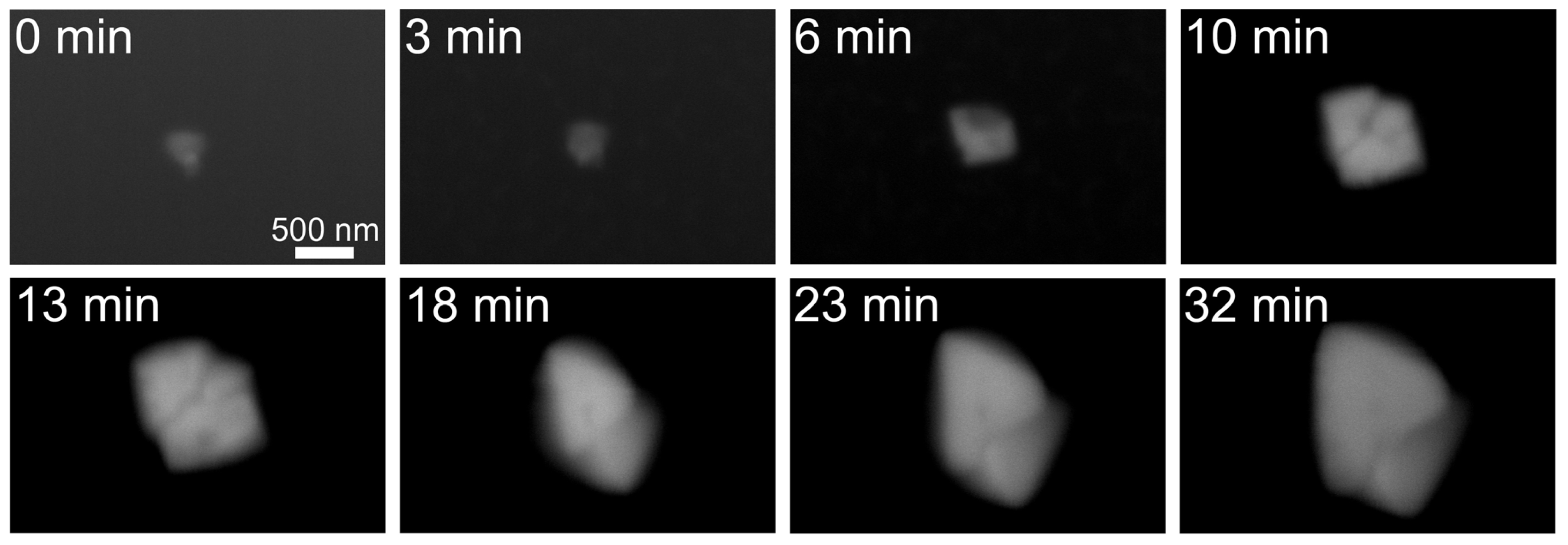 Ijms 13 10553f3