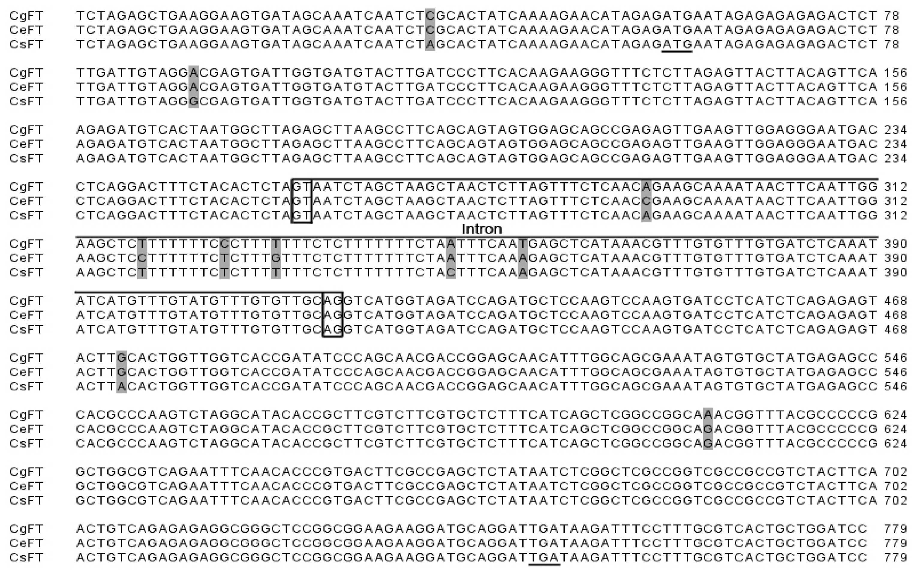 Ijms 13 11385f1