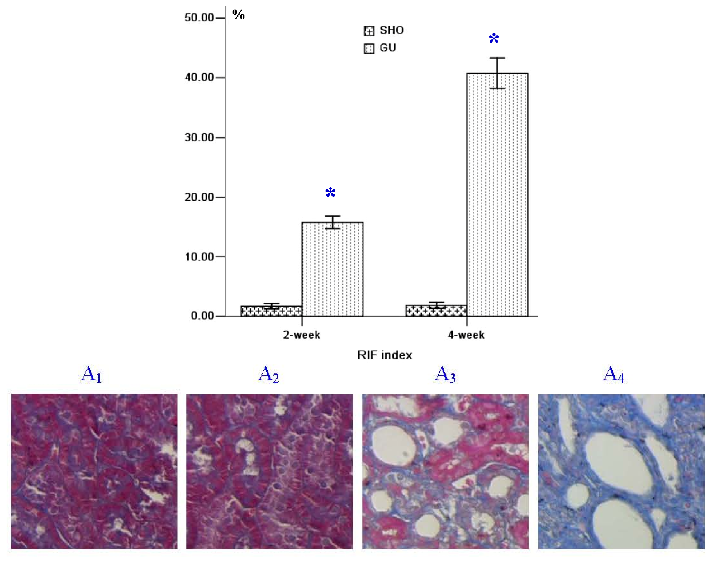 Ijms 13 14073f1