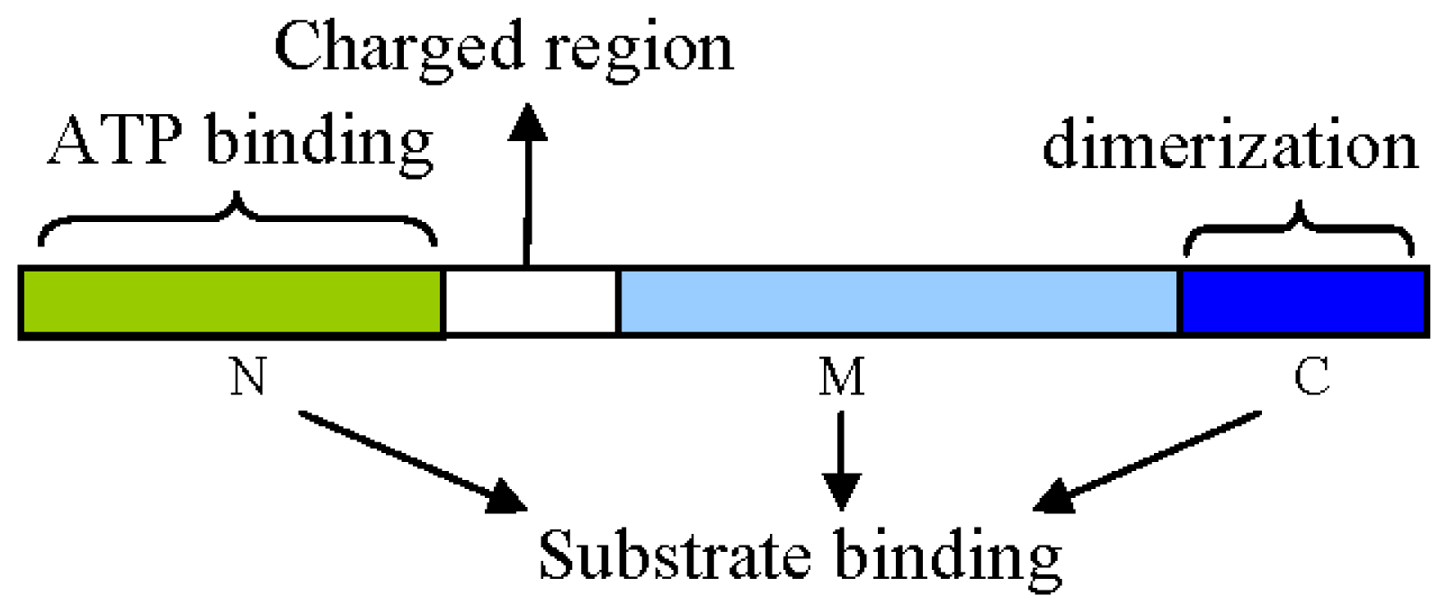Ijms 13 15706f1