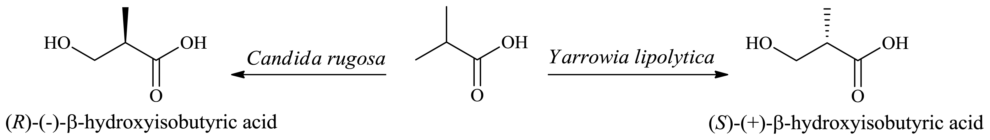 Ijms 13 16514f14