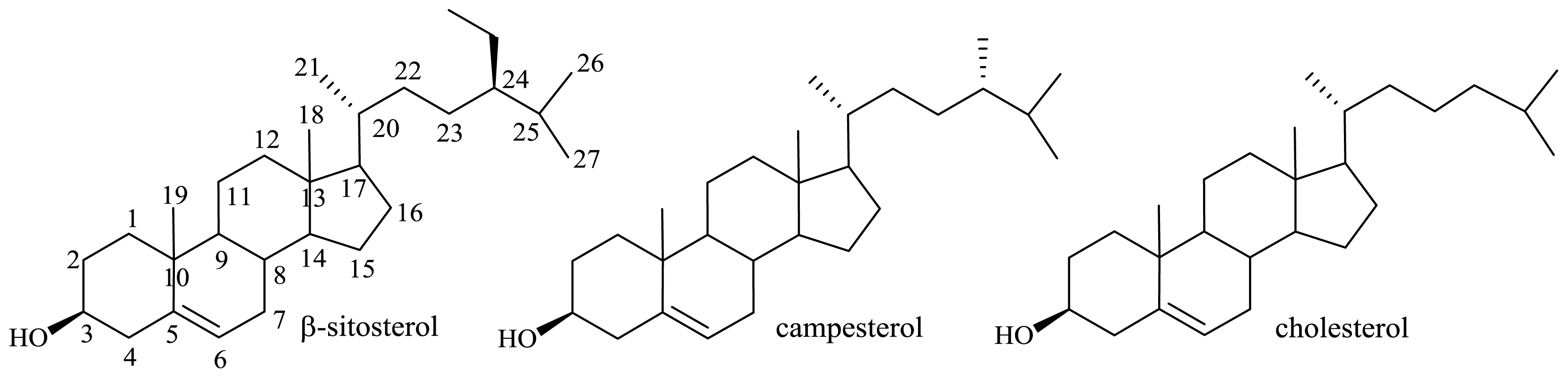 Ijms 13 16514f9