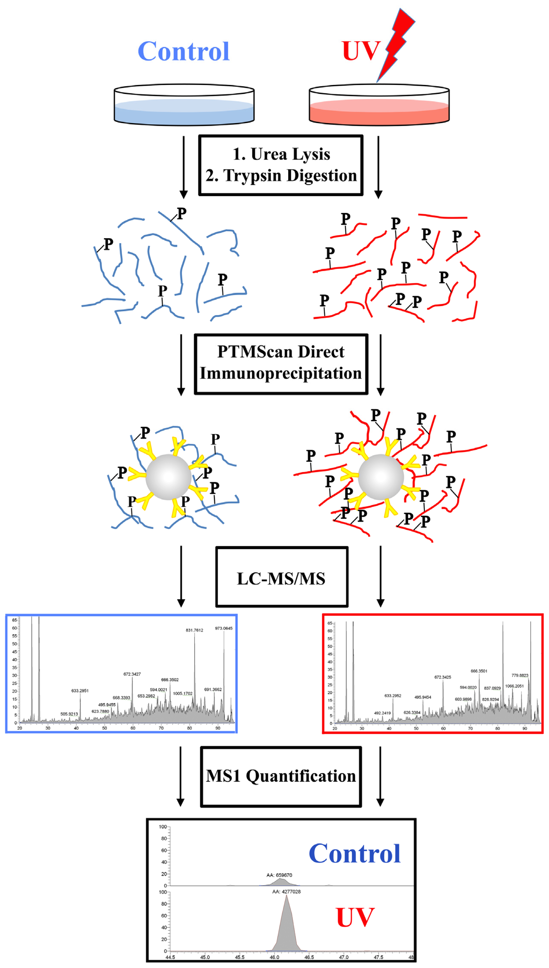 Ijms 14 00286f3