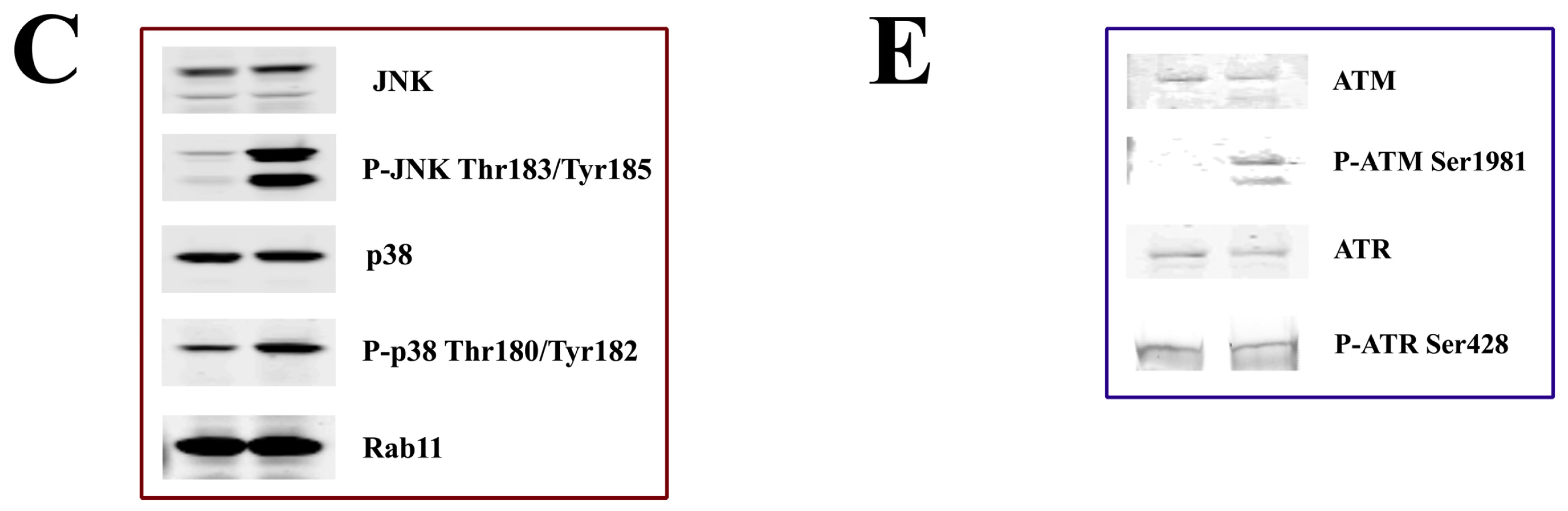 Ijms 14 00286f4b