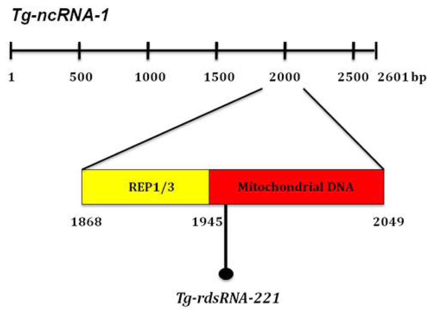 Ijms 14 00611f4
