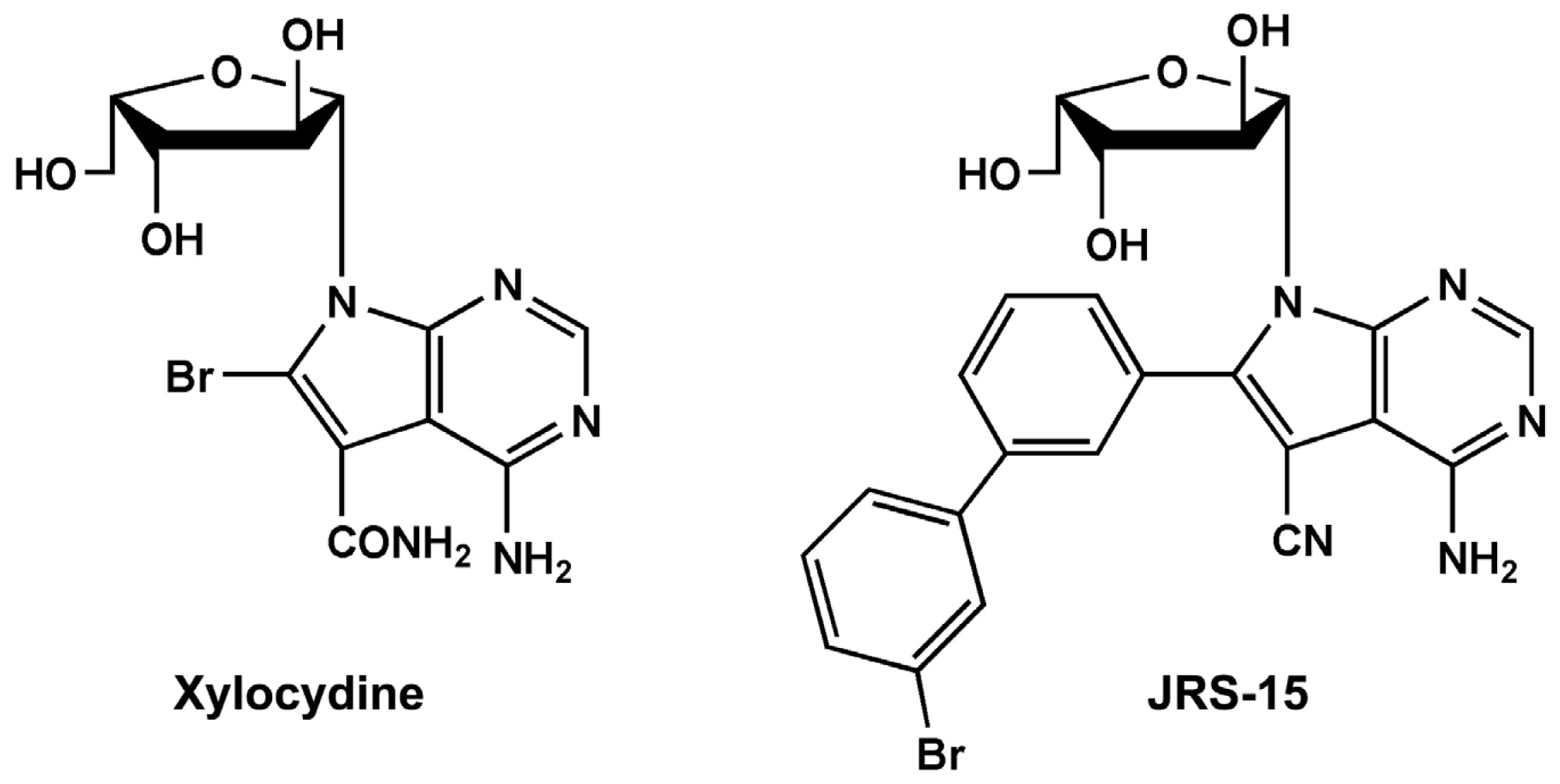 Ijms 14 00850f1