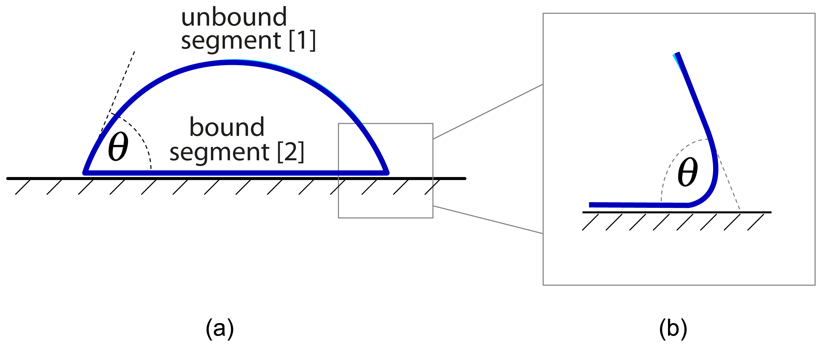 Ijms 14 02203f2