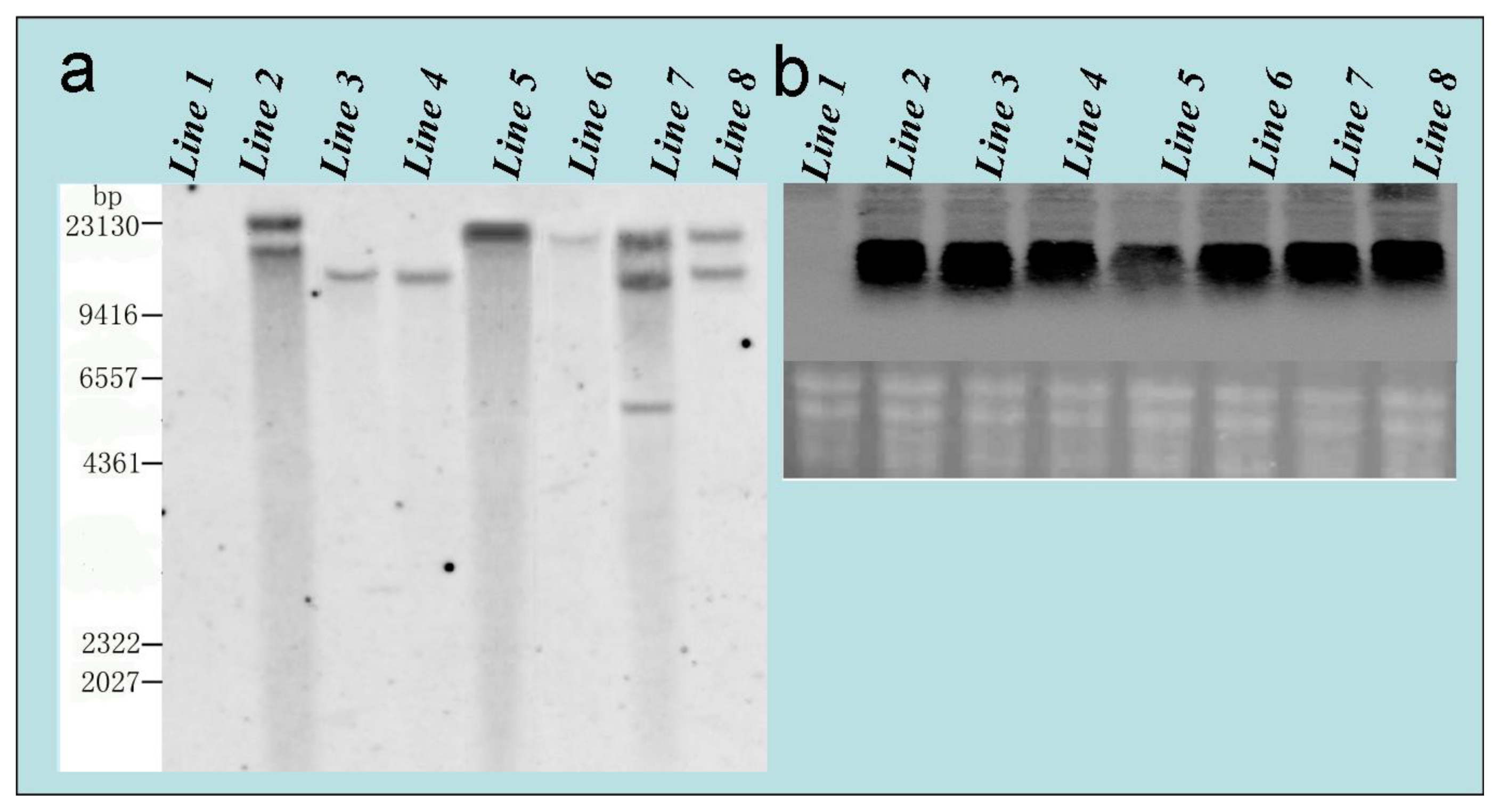 Ijms 14 02515f7