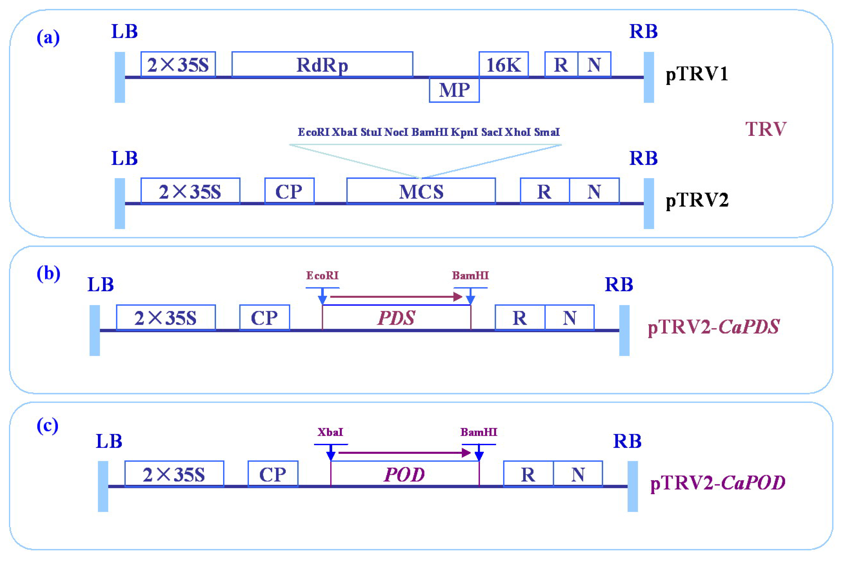 Ijms 14 03158f6