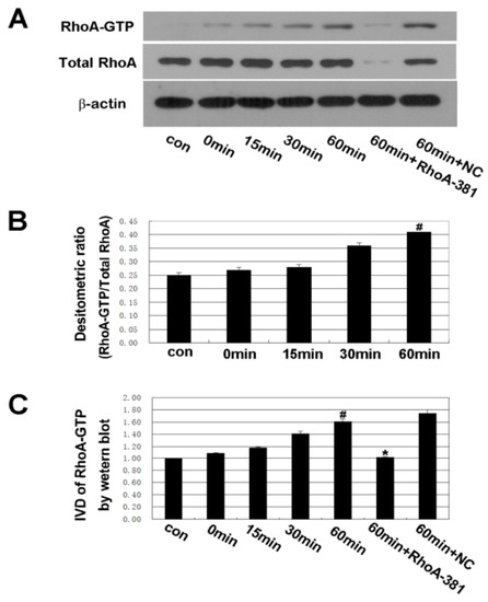Ijms 14 03946 g004 550