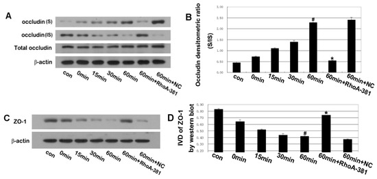 Ijms 14 03946 g006 550