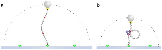 Ijms 14 03961 g002 550