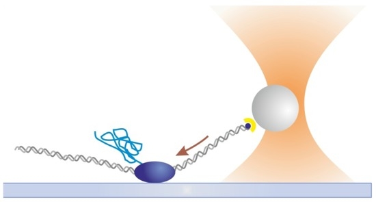 Ijms 14 03961 g003 550