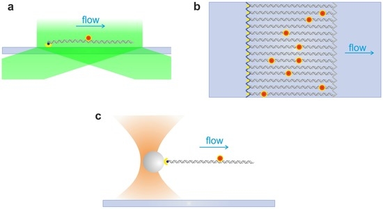 Ijms 14 03961 g005 550