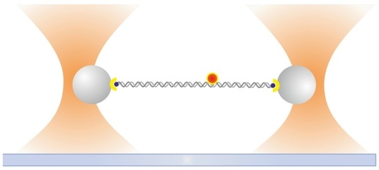 Ijms 14 03961 g006 550