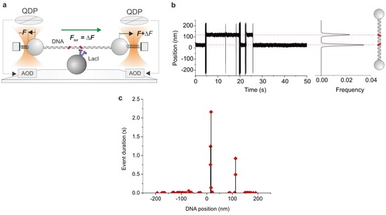 Ijms 14 03961 g007 550
