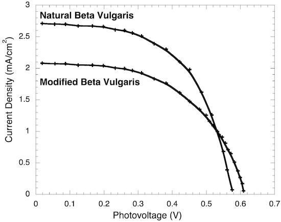 Ijms 14 04081 g004 550