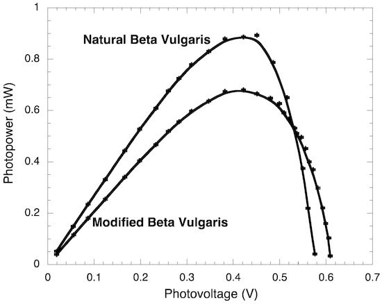 Ijms 14 04081 g005 550
