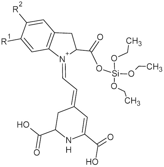 Ijms 14 04081 g009 550