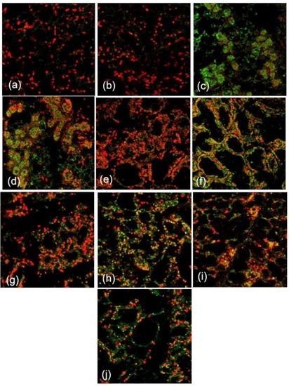 Ijms 14 04094 g003 550