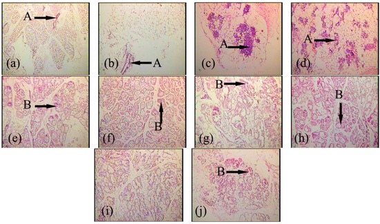 Ijms 14 04094 g005 550