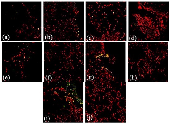 Ijms 14 04094 g007 550