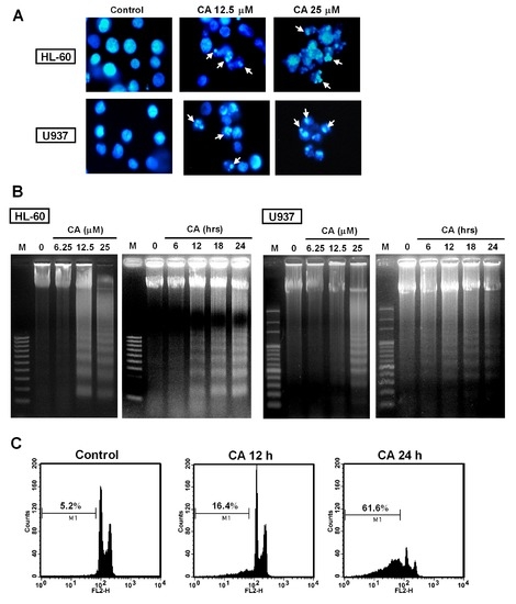 Ijms 14 04106 g004 550
