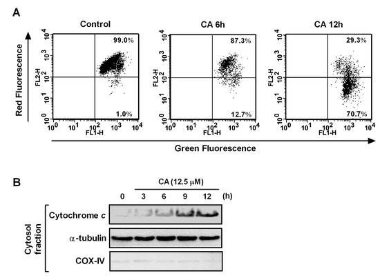 Ijms 14 04106 g006 550