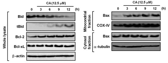 Ijms 14 04106 g007 550