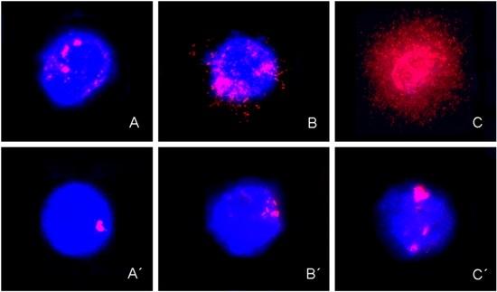 Ijms 14 04135 g001 550