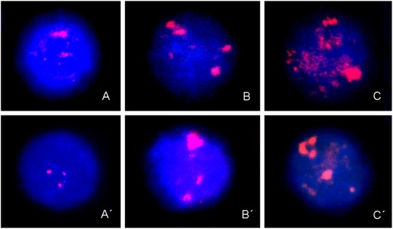 Ijms 14 04135 g002 550