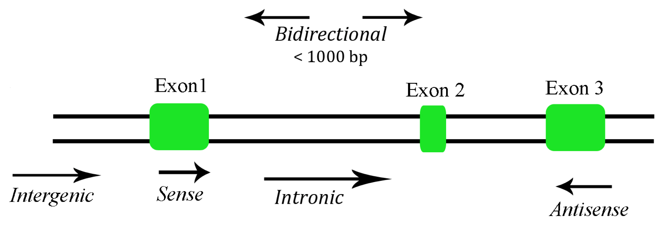Ijms 14 04655f1