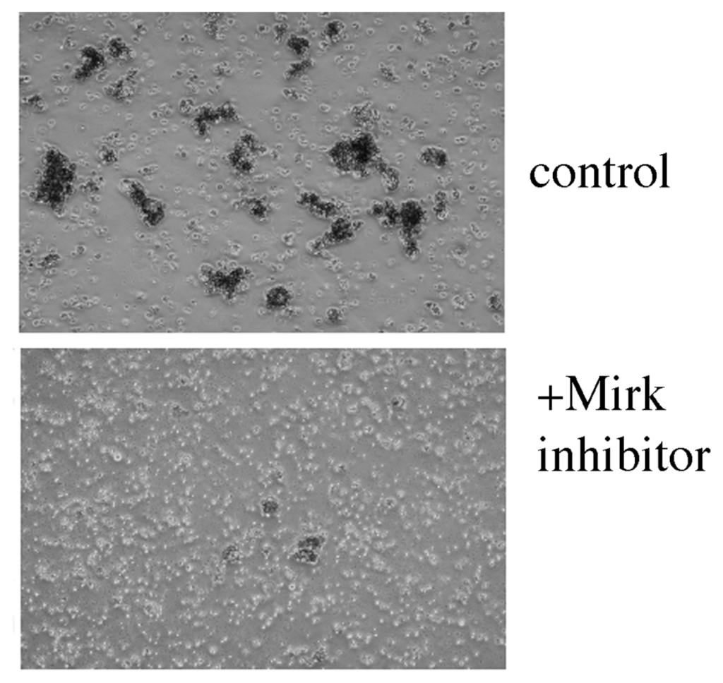 Ijms 14 05560f10 1024