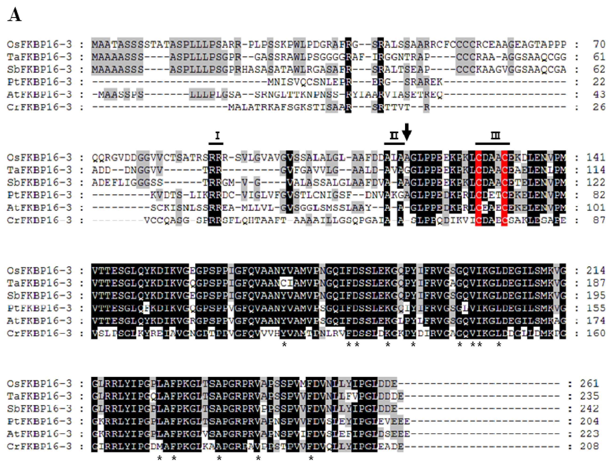 Ijms 14 05899f1a