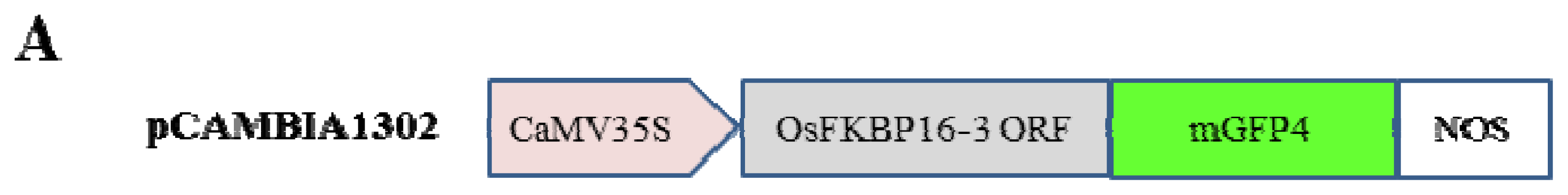 Ijms 14 05899f3a