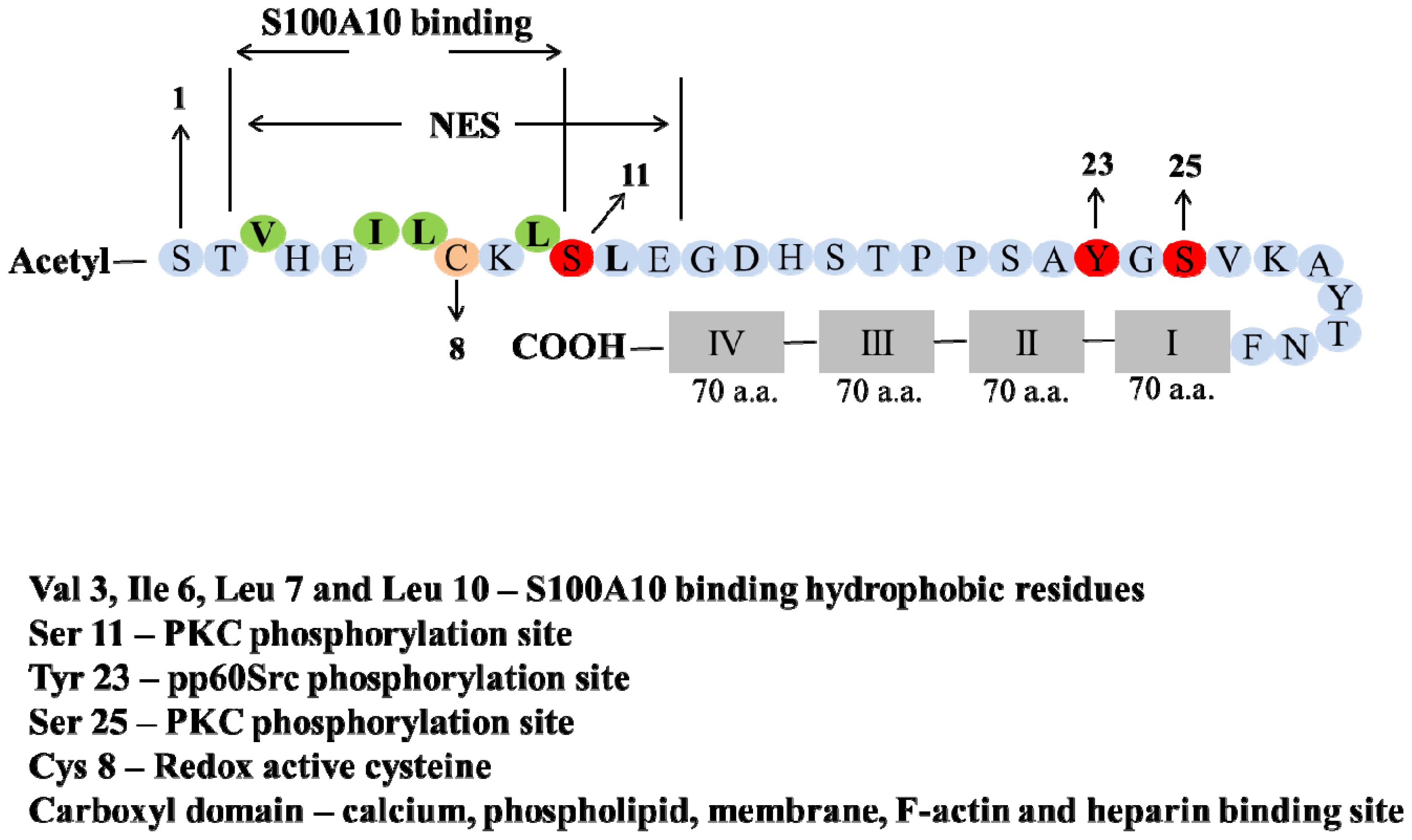 Ijms 14 06259f1