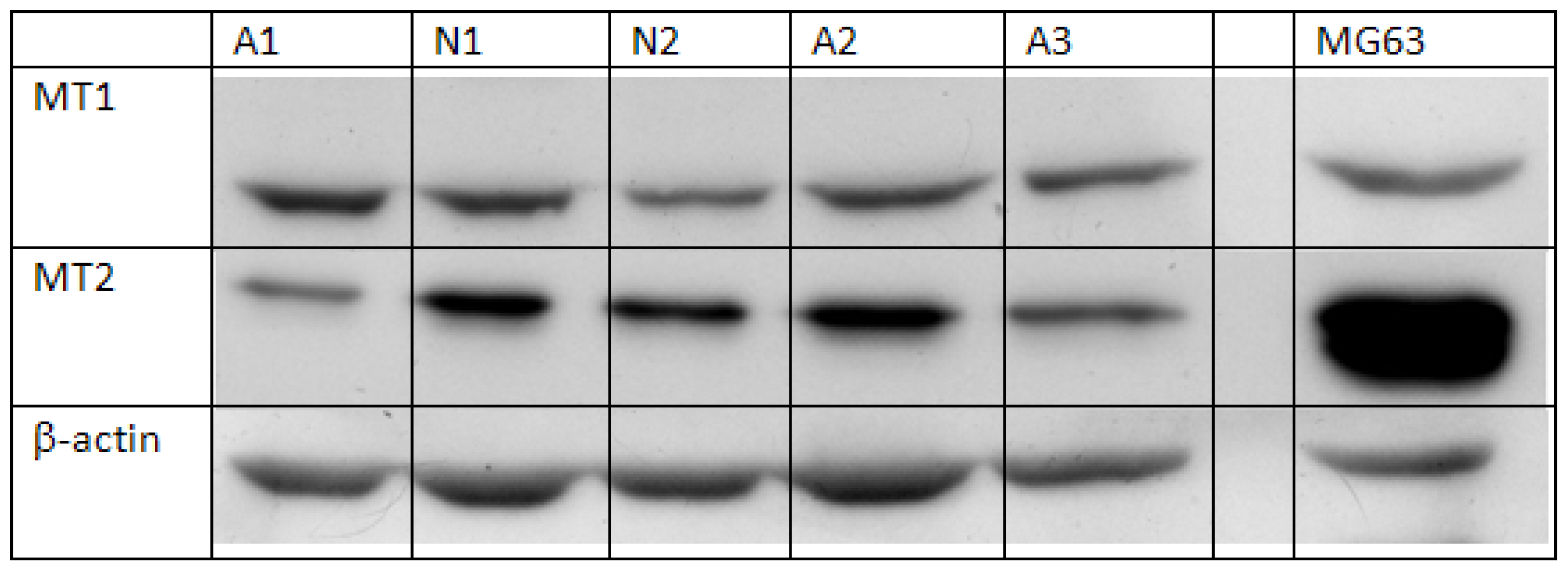 Ijms 14 06345f1