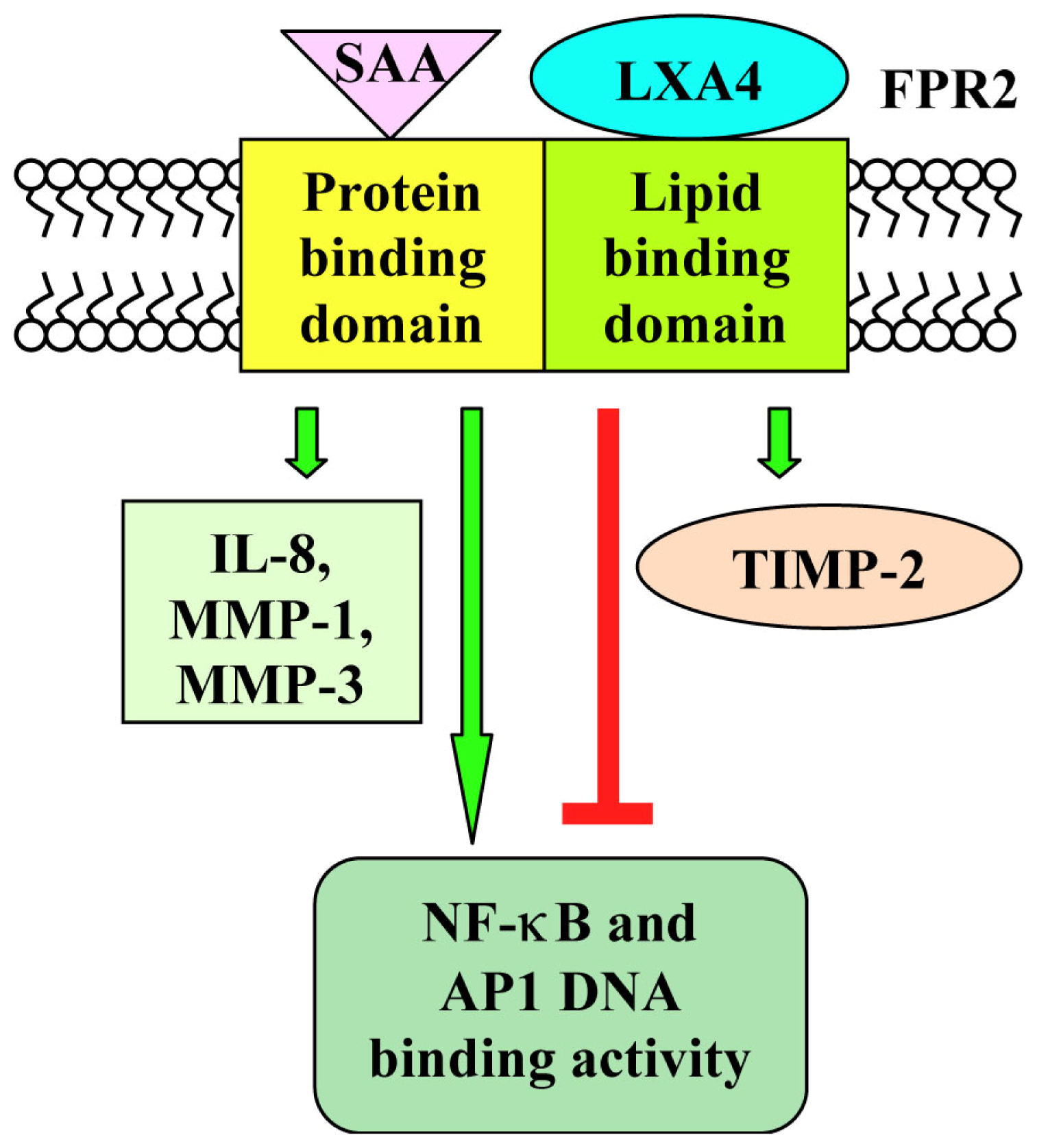 Ijms 14 07193f1