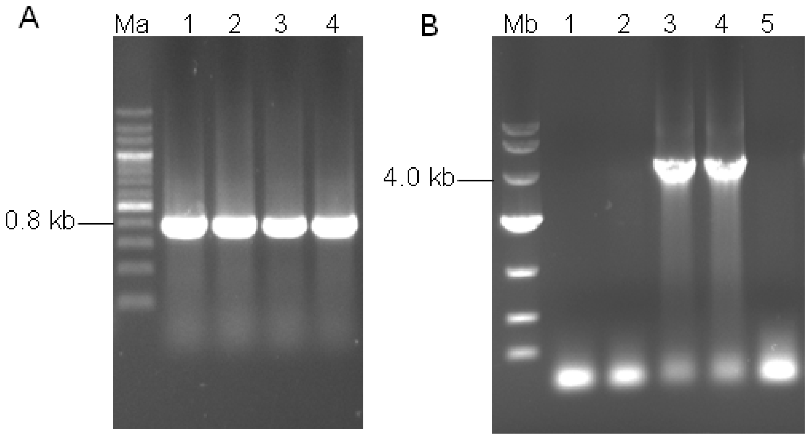 Ijms 14 08479f3
