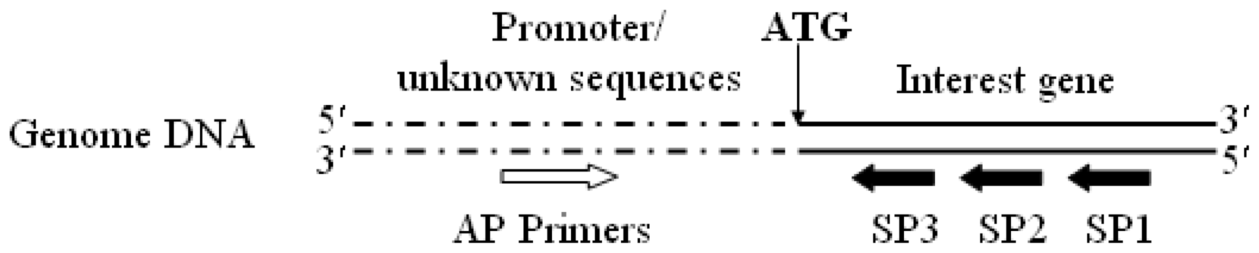 Ijms 14 08479f5