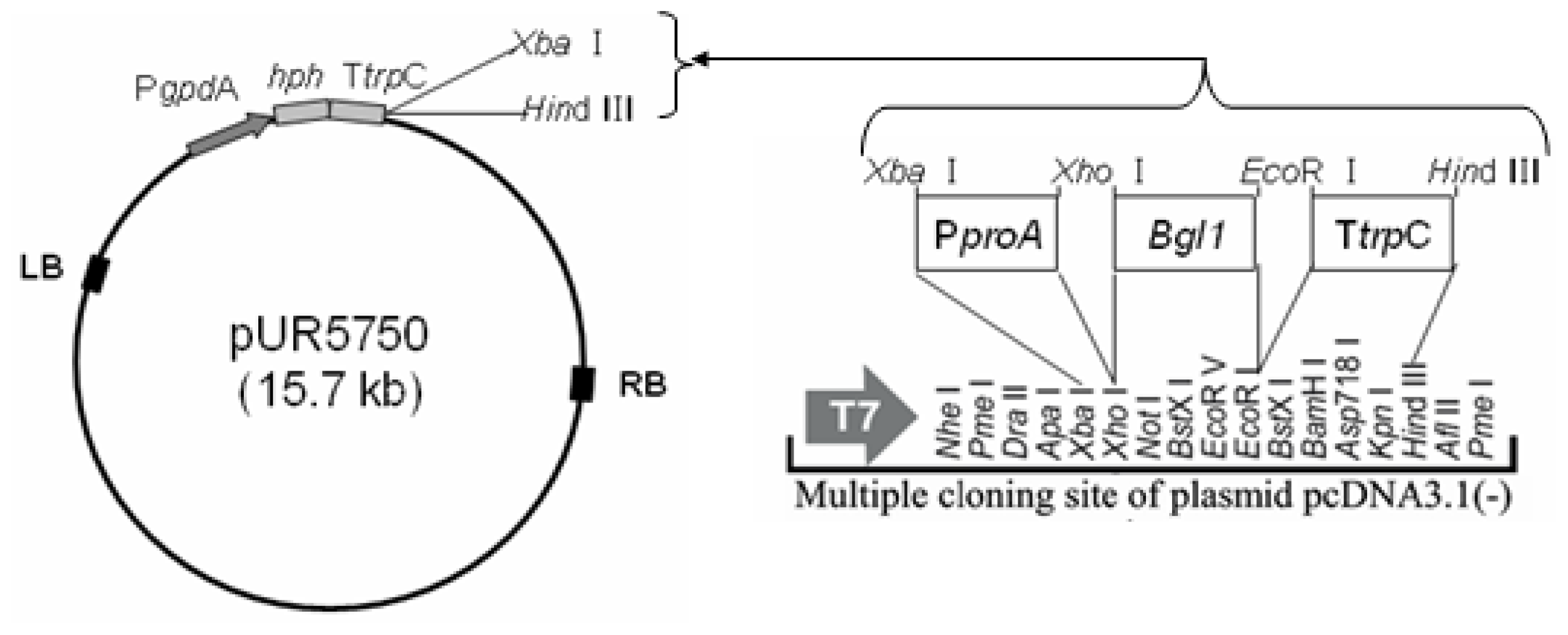 Ijms 14 08479f6
