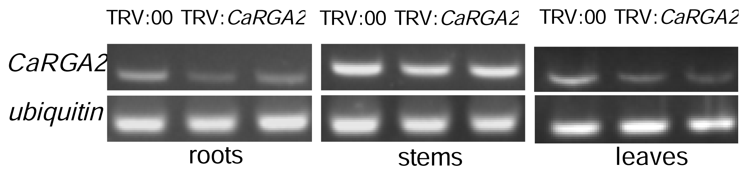 Ijms 14 08985f7