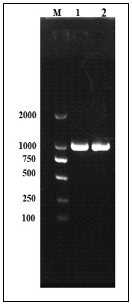 Ijms 14 10229f3