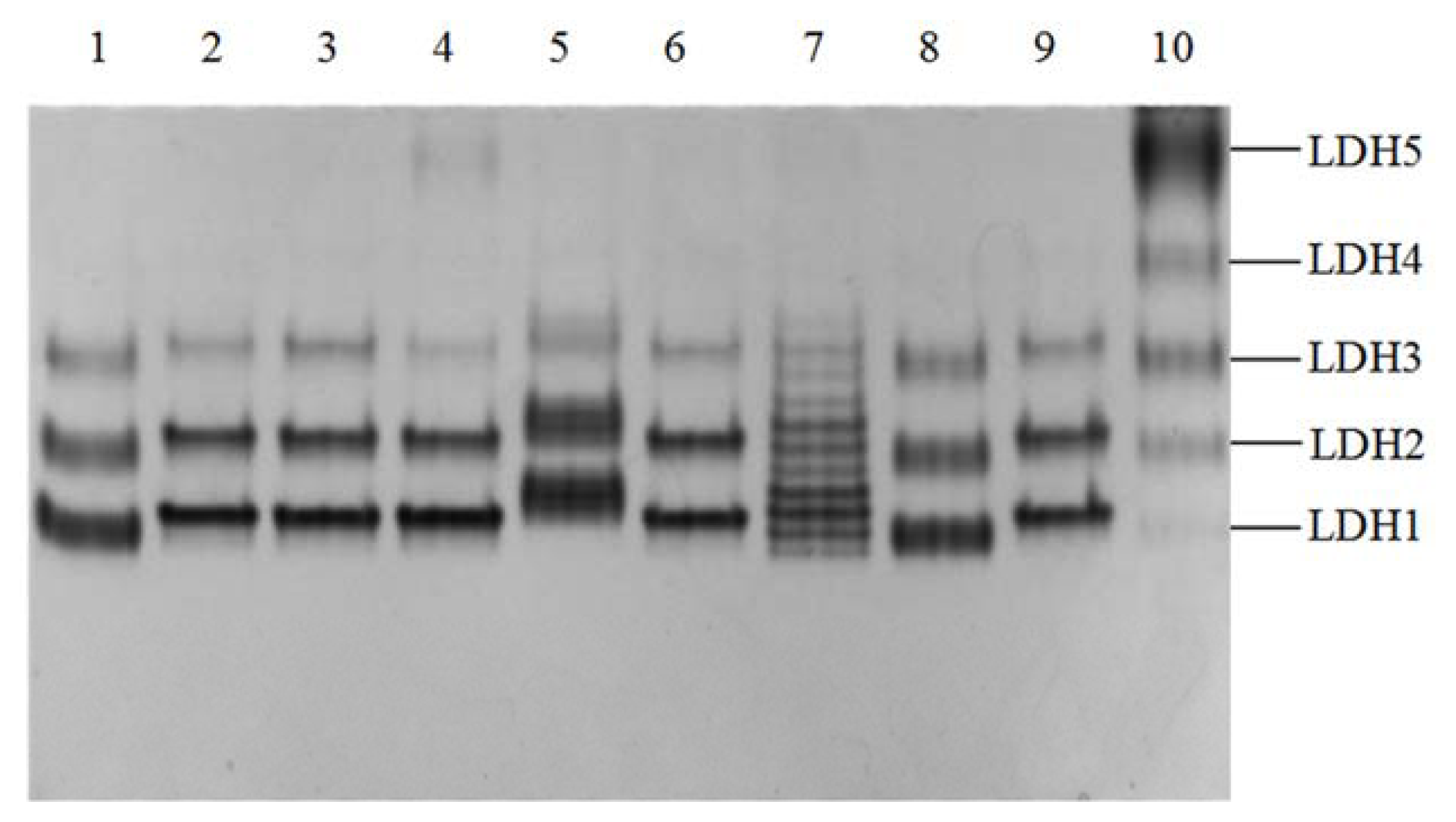 Ijms 14 11994f1