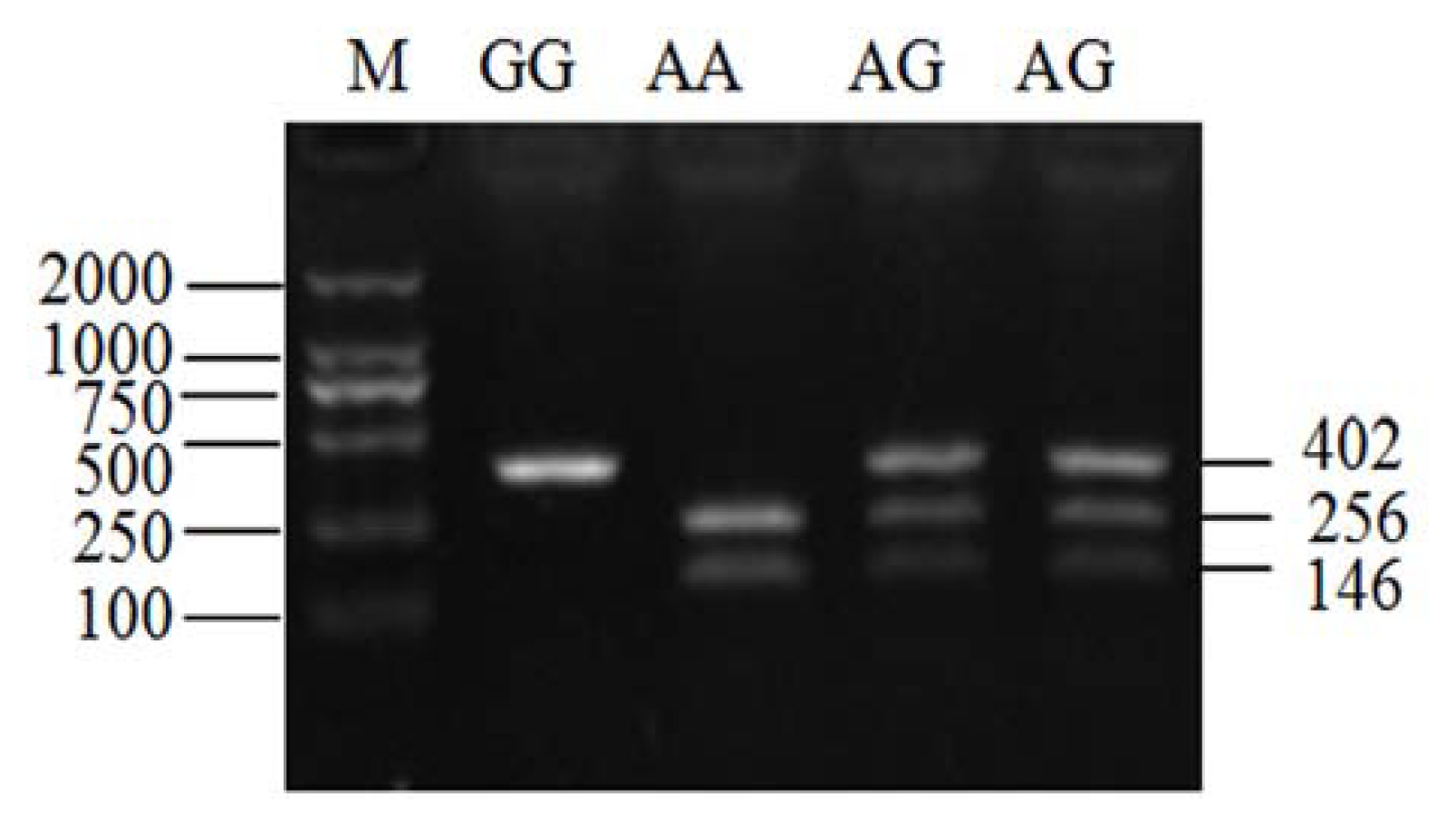 Ijms 14 11994f2